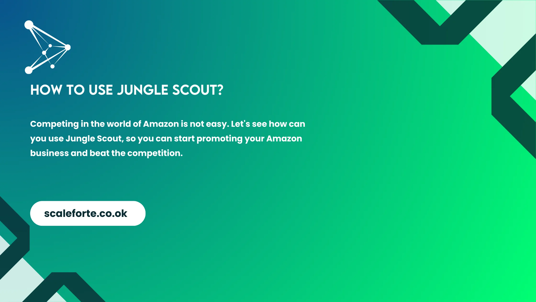 How to use Jungle Scout - banner